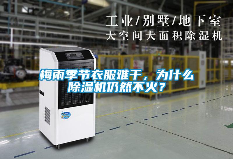 梅雨季节衣服难干，为什么除湿机仍然不火？