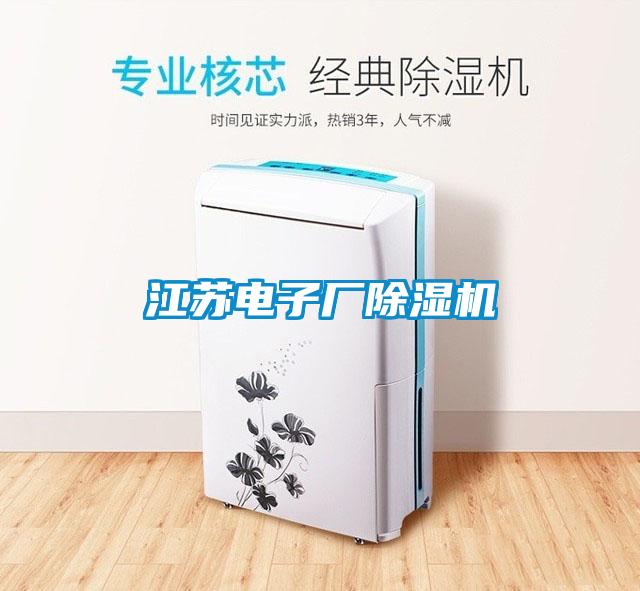 江苏电子厂除湿机