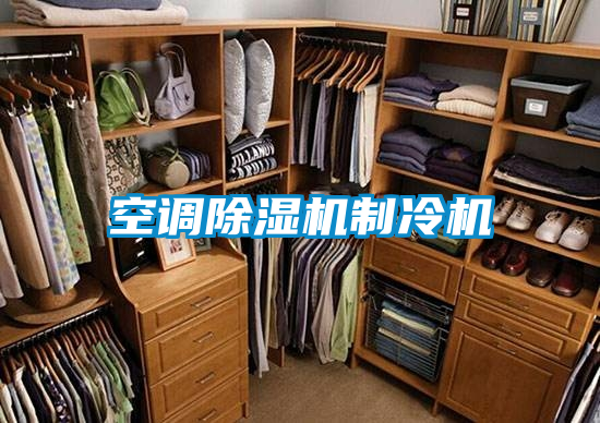 空调除湿机制冷机