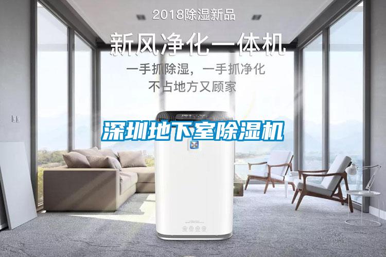 深圳地下室除湿机