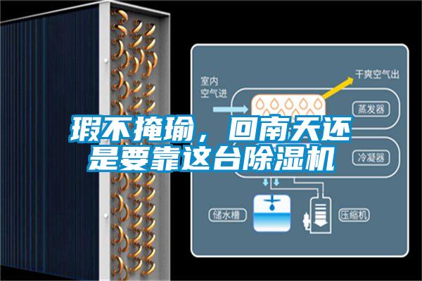 瑕不掩瑜，回南天还是要靠这台除湿机