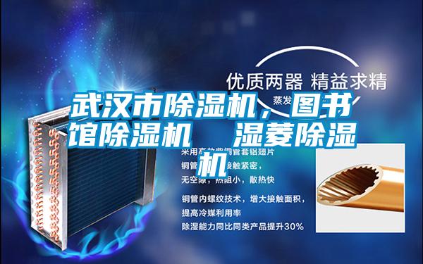 武汉市除湿机，图书馆除湿机  湿菱除湿机