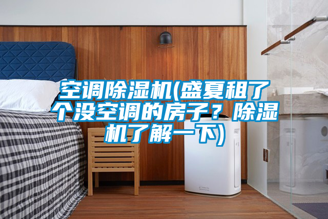 空调除湿机(盛夏租了个没空调的房子？除湿机了解一下)