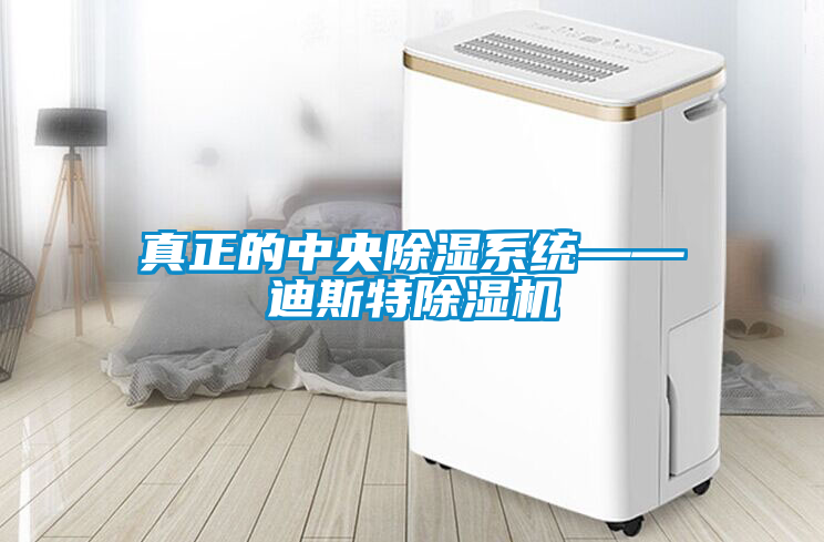 真正的中央除湿系统——迪斯特除湿机