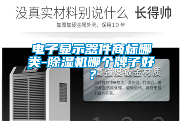 电子显示器件商标哪类-除湿机哪个牌子好？
