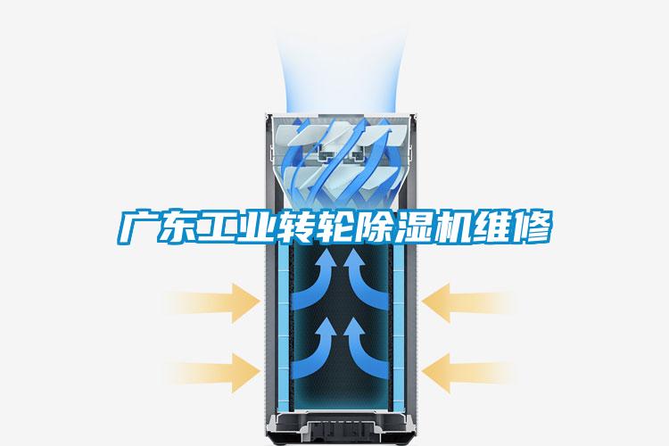 广东工业转轮除湿机维修