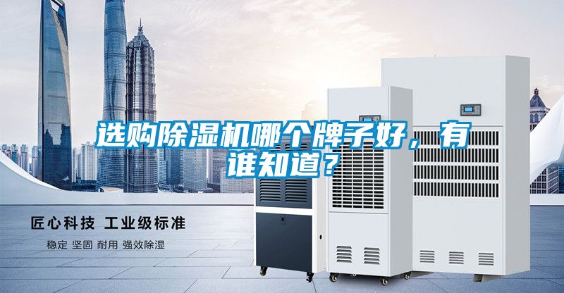 选购除湿机哪个牌子好，有谁知道？