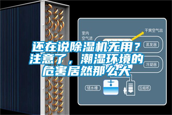 还在说除湿机无用？注意了，潮湿环境的危害居然那么大