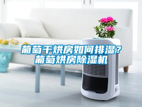 葡萄干烘房如何排湿？葡萄烘房除湿机