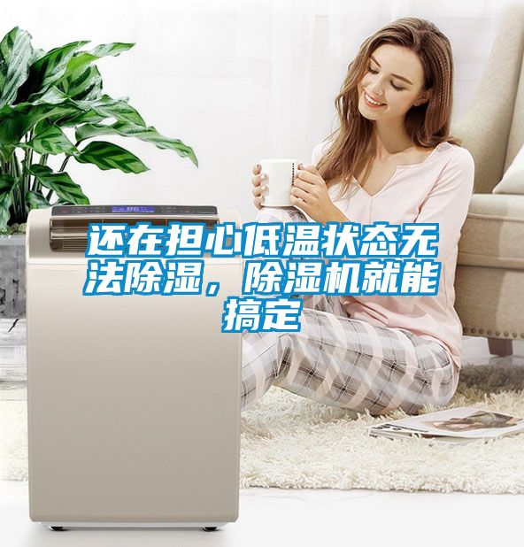 还在担心低温状态无法除湿，除湿机就能搞定