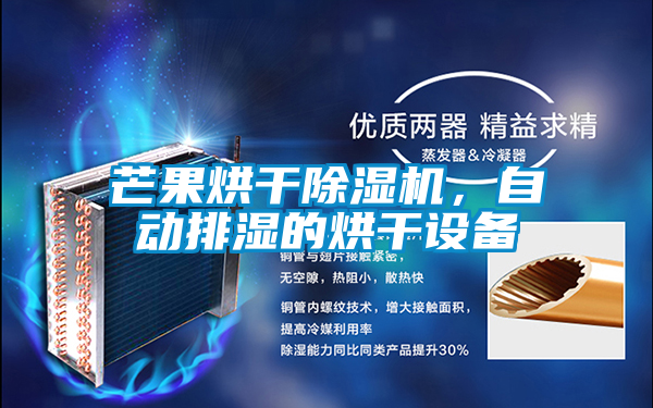 芒果烘干除湿机，自动排湿的烘干设备