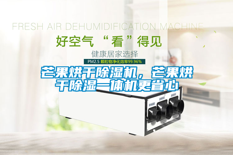 芒果烘干除湿机，芒果烘干除湿一体机更省心