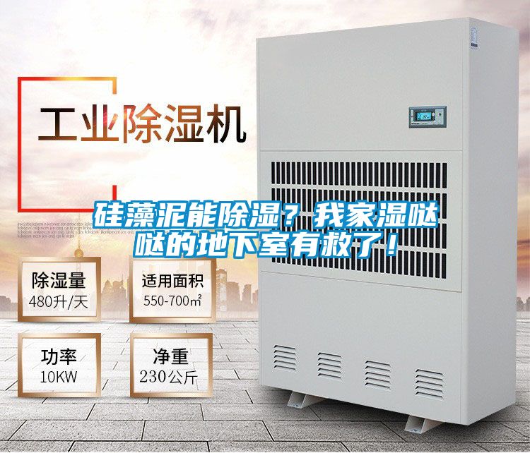 硅藻泥能除湿？我家湿哒哒的地下室有救了！