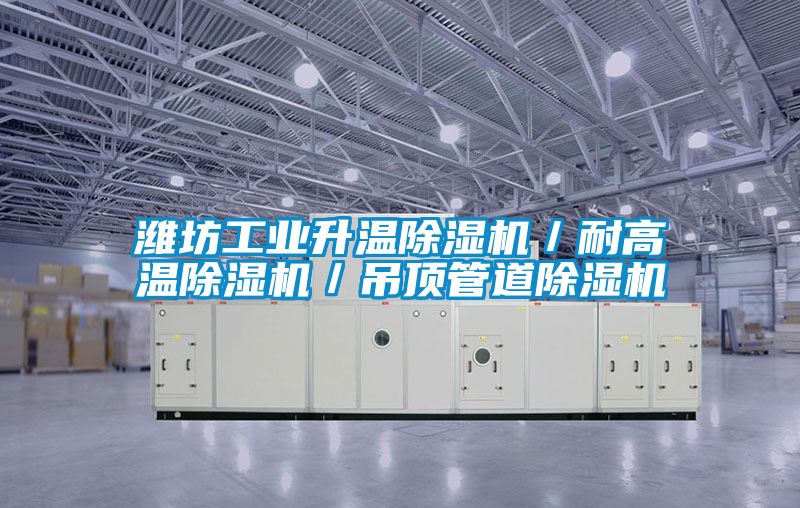 潍坊工业升温除湿机／耐高温除湿机／吊顶管道除湿机