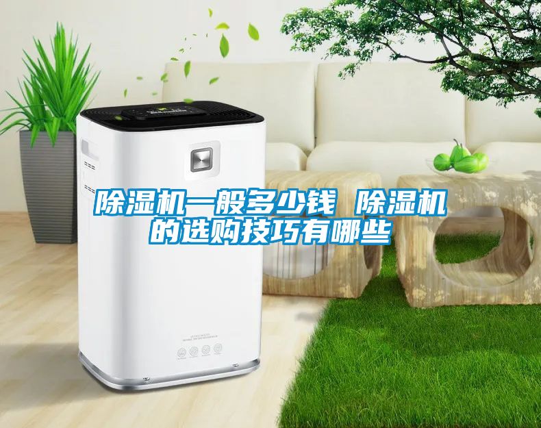 除湿机一般多少钱 除湿机的选购技巧有哪些