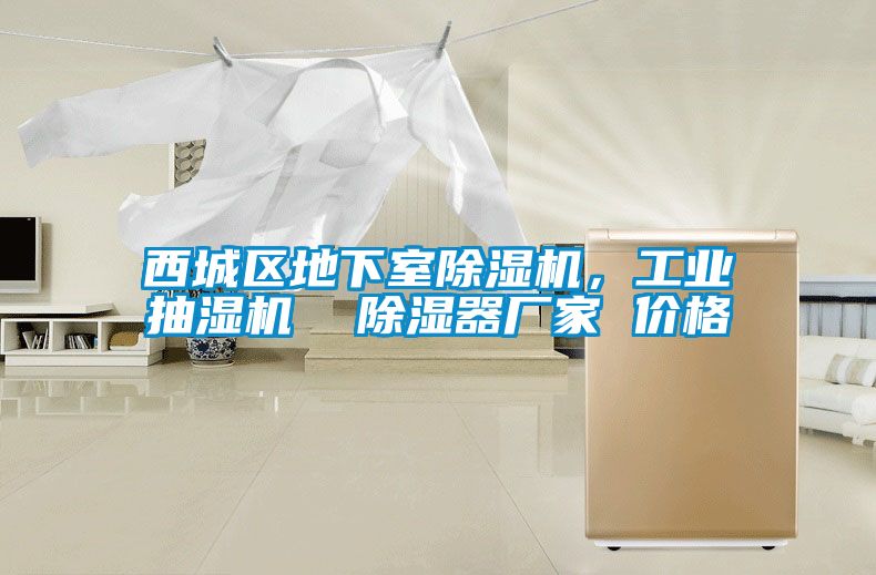 西城区地下室除湿机，工业抽湿机  除湿器厂家 价格