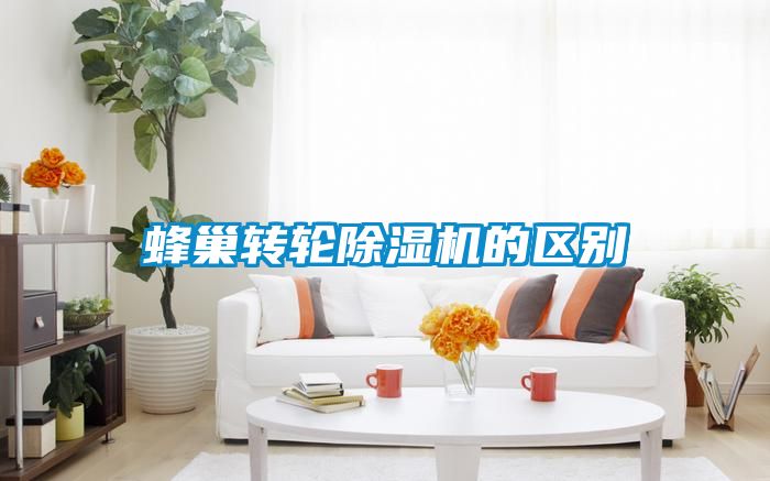 蜂巢转轮除湿机的区别