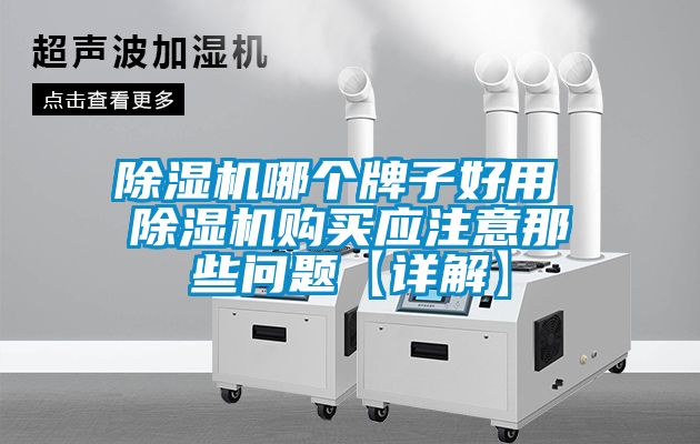除湿机哪个牌子好用 除湿机购买应注意那些问题【详解】