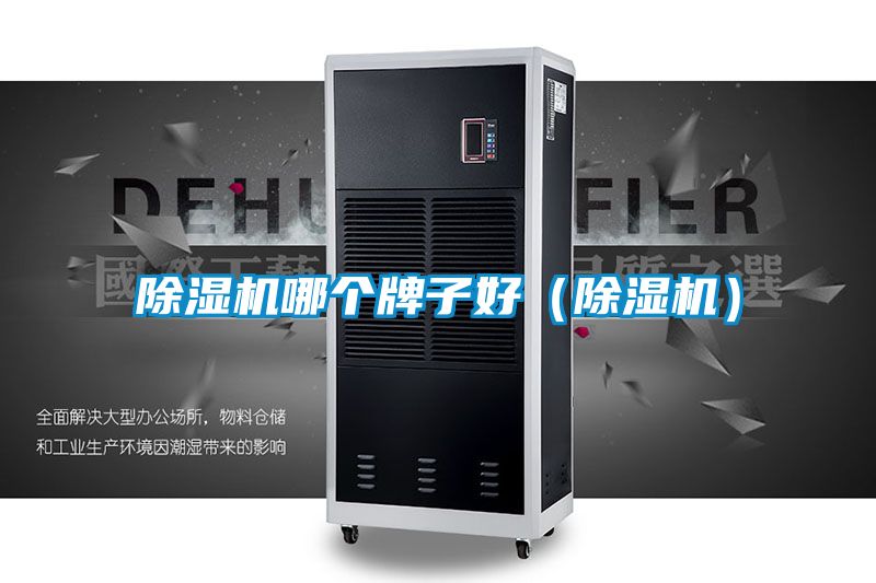 除湿机哪个牌子好（除湿机）