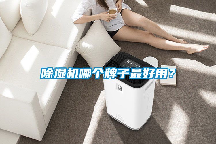 除湿机哪个牌子最好用？