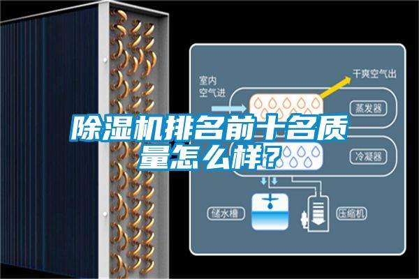 除湿机排名前十名质量怎么样？