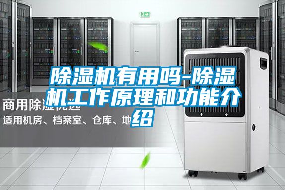 除湿机有用吗-除湿机工作原理和功能介绍