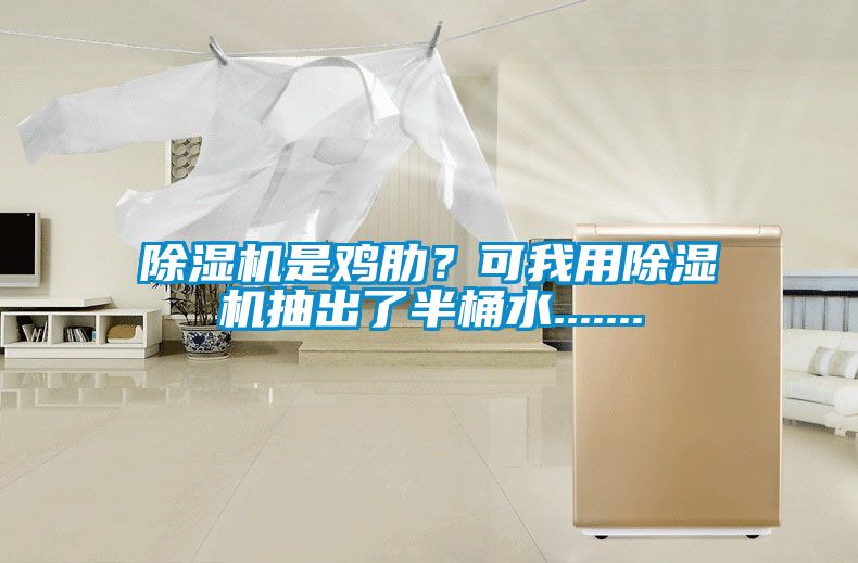 除湿机是鸡肋？可我用除湿机抽出了半桶水.......