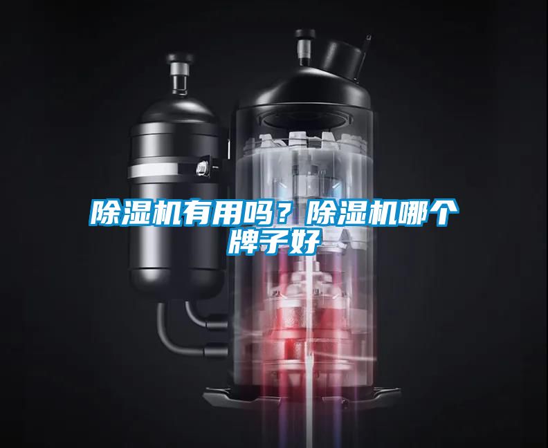 除湿机有用吗？除湿机哪个牌子好