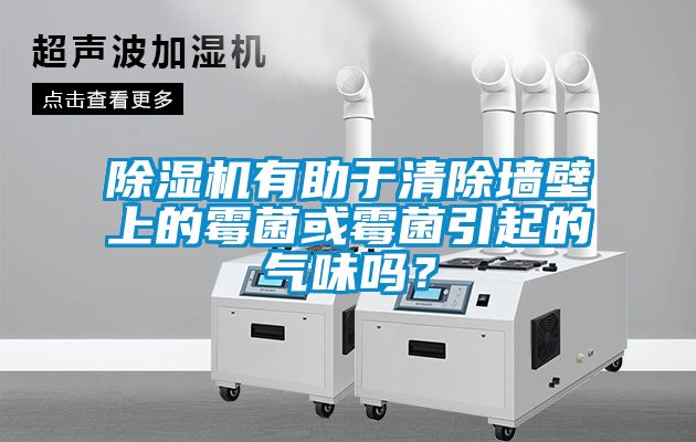 除湿机有助于清除墙壁上的霉菌或霉菌引起的气味吗？