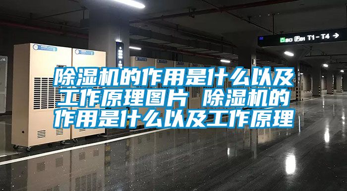 除湿机的作用是什么以及工作原理图片 除湿机的作用是什么以及工作原理