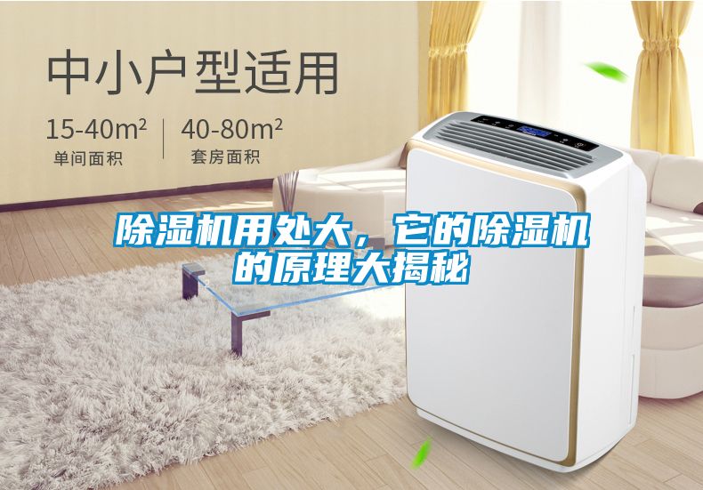 除湿机用处大，它的除湿机的原理大揭秘