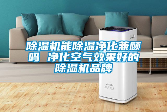 除湿机能除湿净化兼顾吗 净化空气效果好的除湿机品牌