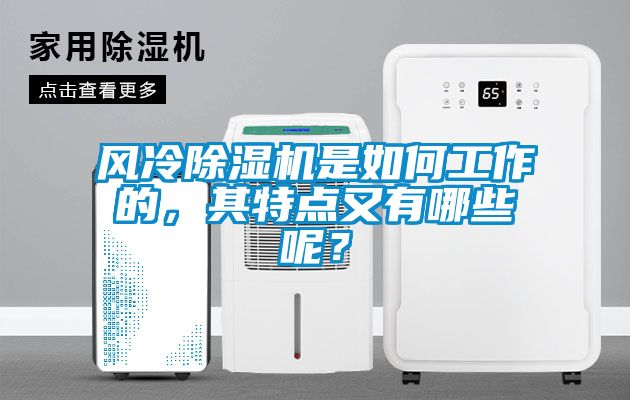 风冷除湿机是如何工作的，其特点又有哪些呢？